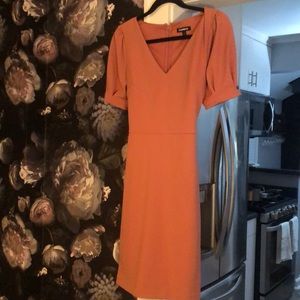 NWOT Gorgeous blush dress